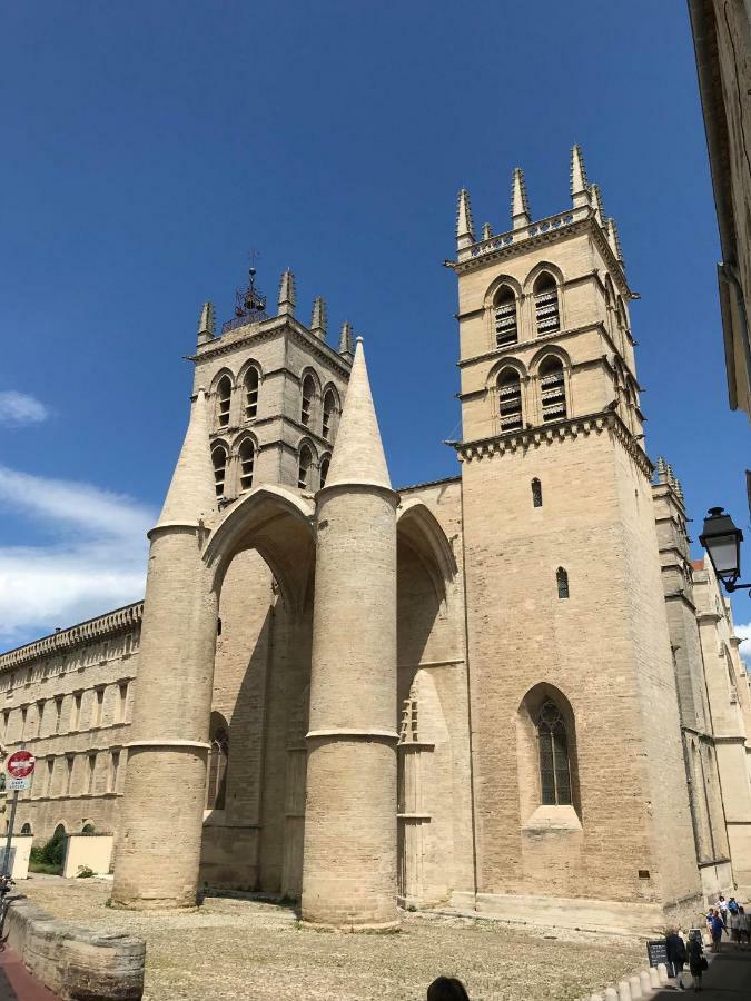 Superbe! Loft T3 -Ctre Historic- Prox. Place Comédie Montpellier Exterior foto